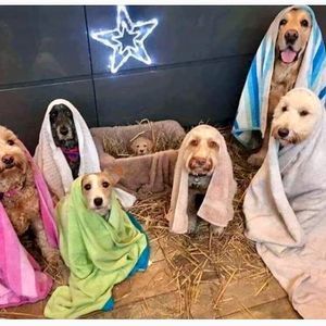 Meet your Posher, Vickie smith